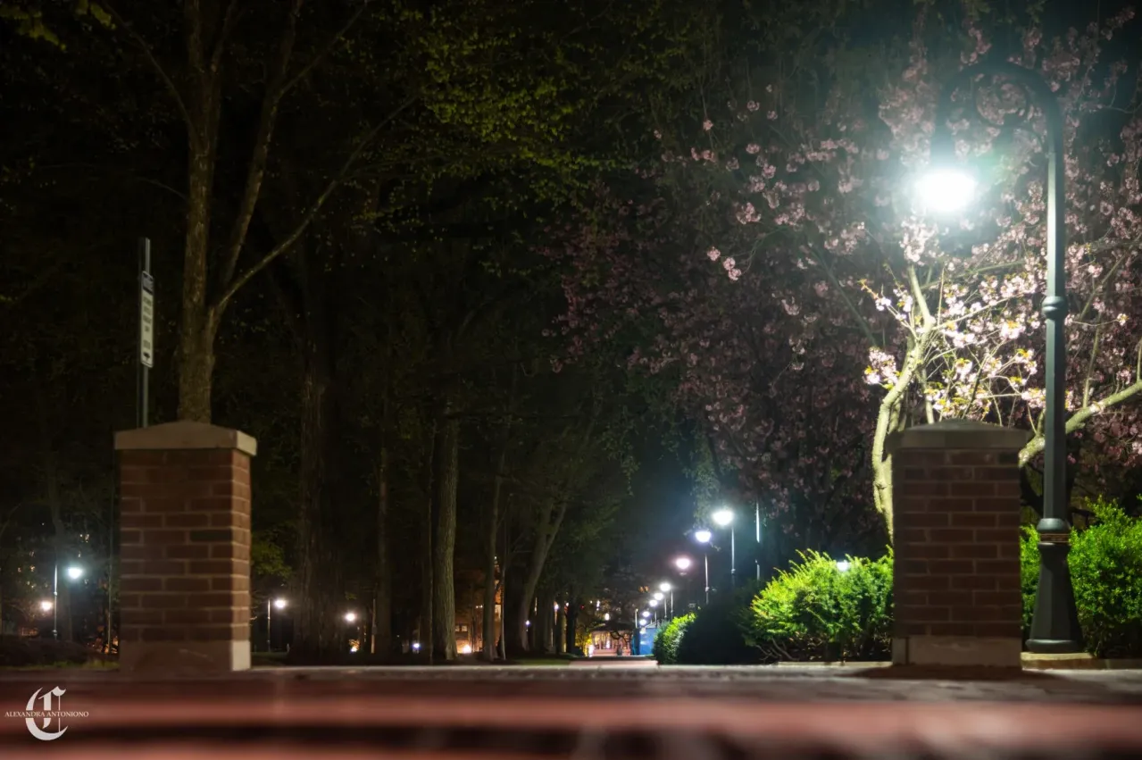 The Pattee Mall on Penn State's University Park campus at night light by street lights